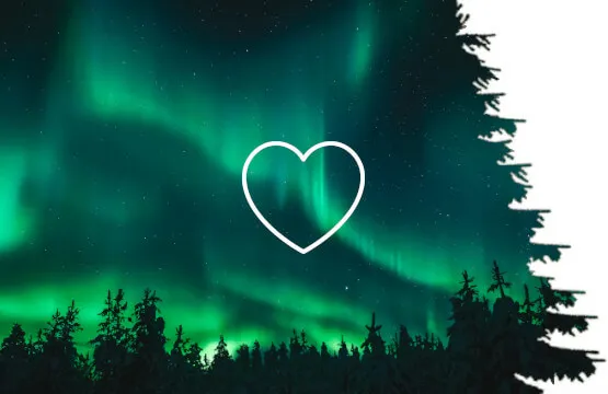 Sukkien laatu | Sukat.com